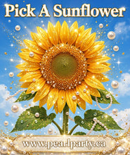 Pick A Sunflower Opening