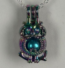 Rainbow Owl Cage