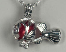 Clown Fish Cage