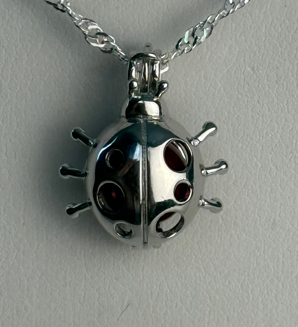 Ladybug Cage