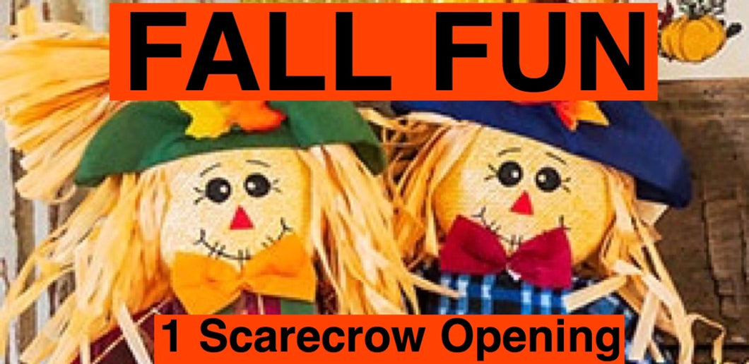 FALL FUN: Scarecrow Opening