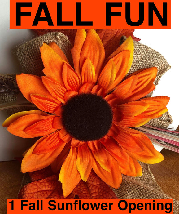 FALL FUN : Fall Sunflower