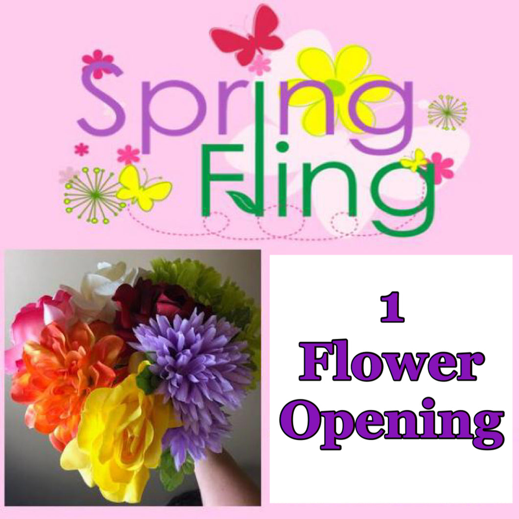 SPRING FLING: Flower Opening