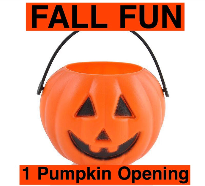 FALL Fun: Pumpkin Opening