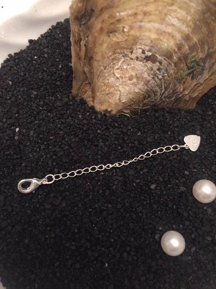 Sterling Silver Plated 2 inch Extension